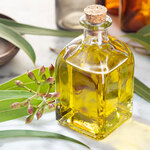 Eucalyptus Oil