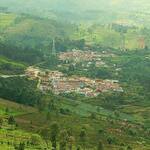 Local Hamlet(Hatty)