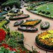 Sim's Park